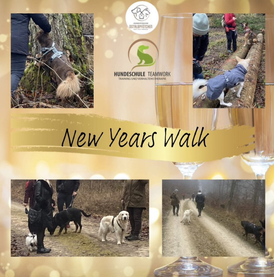 New Years Walk
