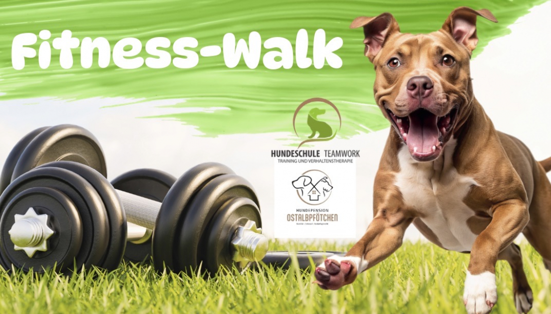 Fitness-Walk